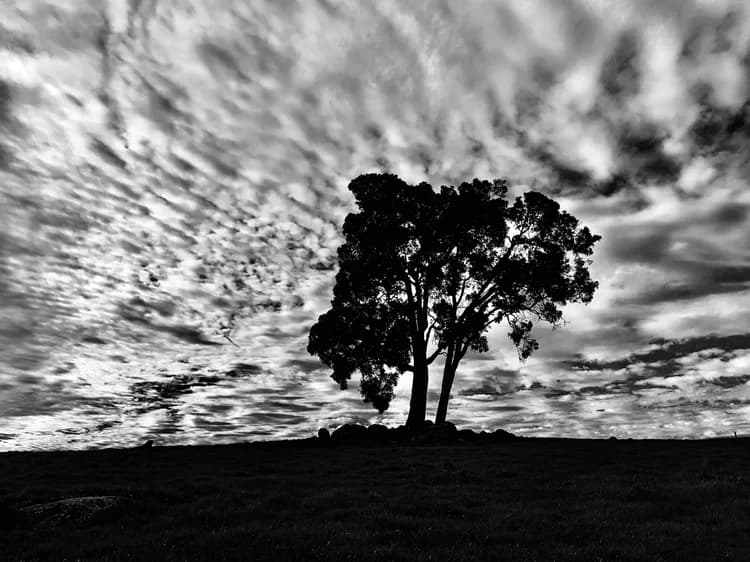 Gallery image 10 for Dalmore Farm