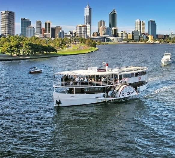 Gallery image 11 for The Decoy