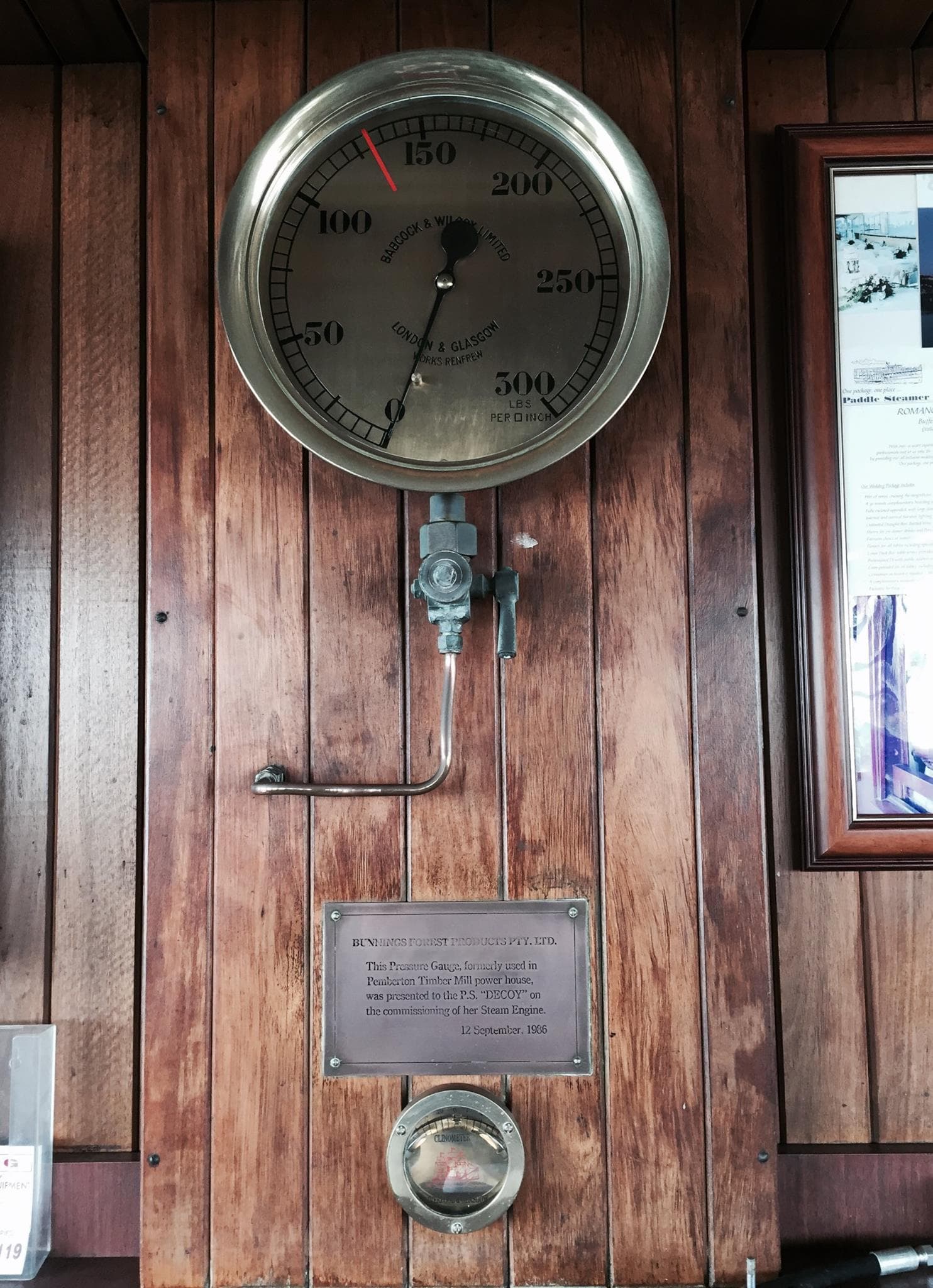 Gallery image 4 for The Decoy