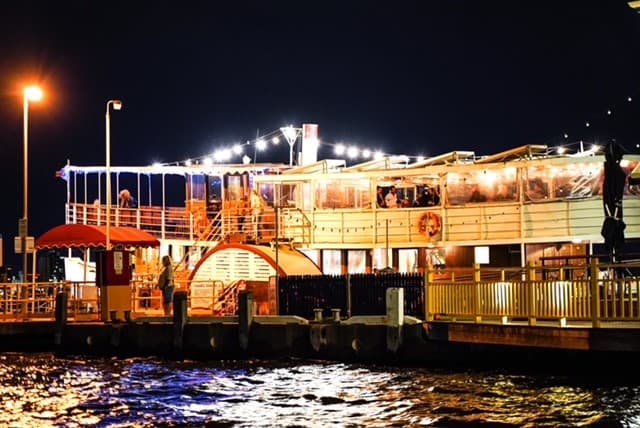 Gallery image 6 for The Decoy