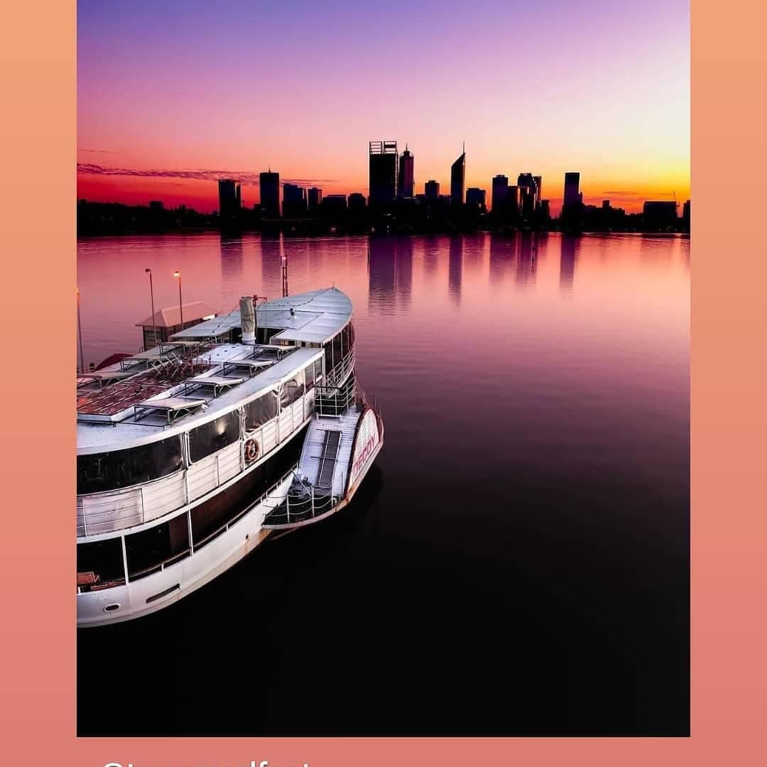 Gallery image 7 for The Decoy