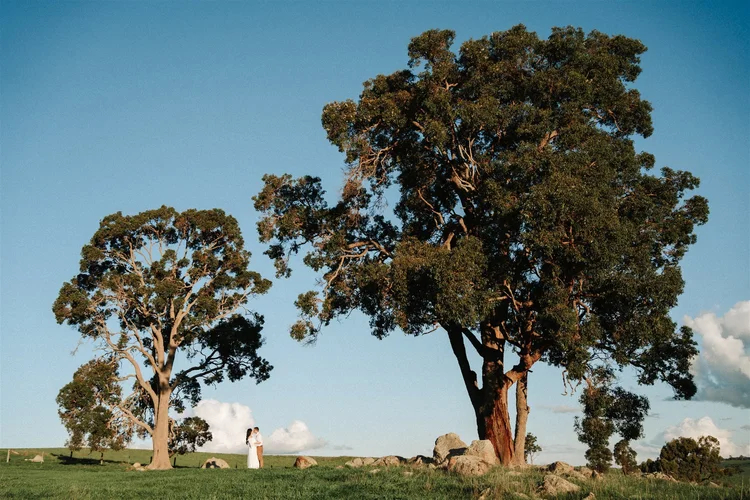 Dalmore Farm wedding photo 11