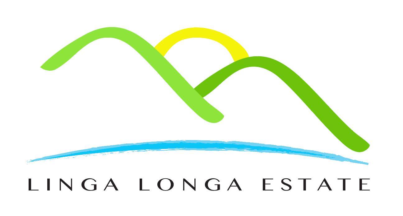 Linga Longa Estate wedding photo 12